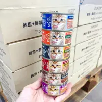 在飛比找蝦皮購物優惠-【PANTOP邦比】 貓餐罐80g  貓咪罐頭 副食罐 凍罐