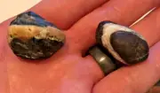 Two Wish Stones with big bands Ocean Tumbled Beach Rock from Western WA