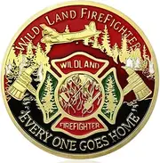 America Firefighter Wild Land Challenge Coin Retire Fireman Commemorative Gift