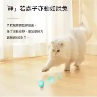 在飛比找蝦皮商城精選優惠-台灣出貨 寵有引力智能跑跑車 羽毛逗貓棒 貓玩具 人寵互動玩
