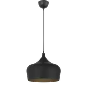 Polk-30 1 Light Pendant Black Brushed, Black POLK PE30-BKB