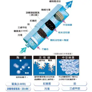 Panasonic國際牌公司貨TK-AS46C1電解水機濾心，替代TK-7505C1/TK-AS43C1濾芯