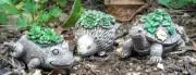 Miniature Animal Planters 3 asst. Hedgehog Frog Turtle WS 2093 Fairy Garden