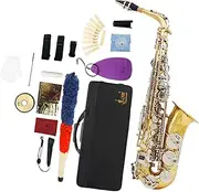 ａ aternee Alto Saxophone Woodwind Instrument with Cleaning Cloth Portable Carrying Case Alto Saxophone Full Kit for Concert Live Show, gold and argent