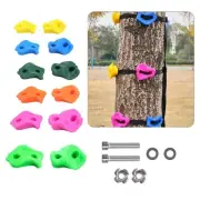 Easily Hold Climbing Set Rock Climbing Holds Wall Climbings Grip 10PCS/Pack