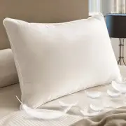 Goose Down Feather Standard Pillow, Luxury Hotel Collection Bed Pillow for Sl...