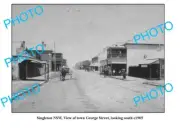 OLD 6 x 4 PHOTO SINGLETON NSW VIEW OF GEORGE STREET LOOKING SOUTH c1905