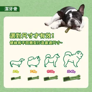 【健綠】狗狗潔牙骨 12oz(340g)/袋 原味 多規格 寵物 狗潔牙骨_即期品