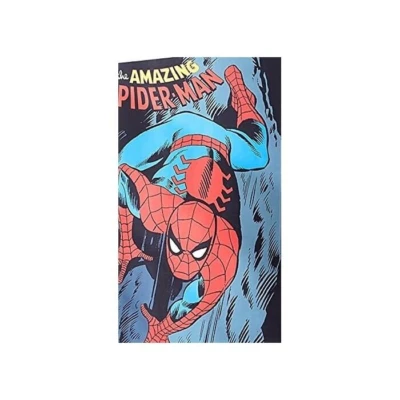 Pottery Barn Kids Amazing Spiderman LARGE Wall Mural NEW 48x72"
