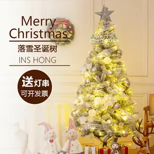 聖誕樹 聖誕樹家用仿真樹植絨樹1.5米1.8米2.1米雪花大型聖誕節裝飾套餐 米家