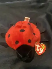 TY Beanie Baby MINT Lucky The Ladybug 1995 FIRST EDITION HANG TAG