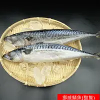 在飛比找蝦皮商城精選優惠-【海鮮7-11】 免運**挪威鯖魚-原料(無鹽) 600+ 