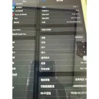 在飛比找蝦皮購物優惠-ipad Air 2 可插卡版 金色