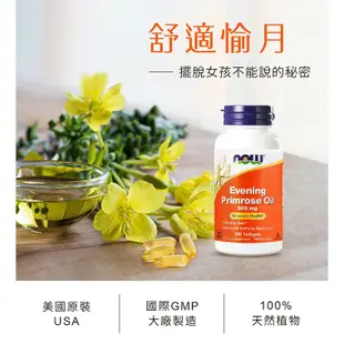 NOW健而婷 月見草油(100顆/瓶)