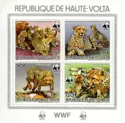 Haute Volta , Animals /Cheetah - Imperforated - Collective block