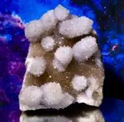 416g Large Natural Spirit Quartz Cactus Crystal Cluster Boekenhouthoek,S. Africa