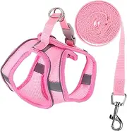 Totority 1Set Reflective Pet Harness with Leash Breathable Dog Vest for Walking Training Lightweight Skin Friendly Design for