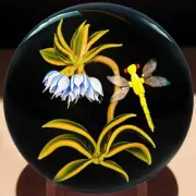 Clinton Smith Blue Fritillaria Flowers With Yellow Dragonfly On Black
