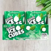 Ice Breakers Ice Cubes Sugar Free Gum, Spearmint (40 ct., 4 pk.)