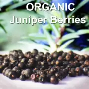 ✅ORGANIC JUNIPER BERRIES Natural Dried Hungary Premium Quality Spice 25g to 1 Kg