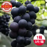 在飛比找PChome24h購物優惠-【水果達人】台灣一級巨峰葡萄x1箱(3斤±10%/箱)