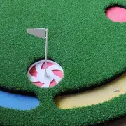 Golf Flag Putting Cup Holder Putting Green Flag for Sports Beginners Outdoor