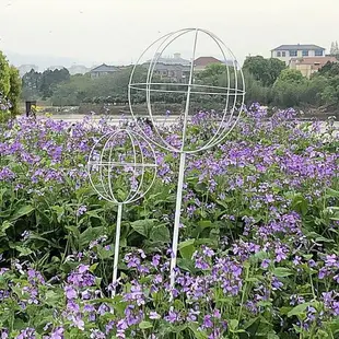 藍雪花棒棒糖花架子月季風車茉莉鐵線蓮爬藤架鐵藝球形攀爬花支架 花架/花架三層/實木花架/陽台花架/園藝花架/北歐花架/盆栽架/鐵藝花架/置物架