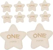 ibasenice Milestone Blocks Set 12 Pcs Newborn Photography Props Star Shaped Photo Discs for Monthly Milestones