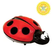 LADY BUG B/O NIGHT LIGHT