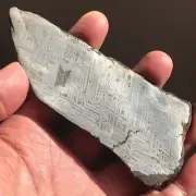 Natural Aletai Iron Meteorite 160.0 Grams Cut Slabs Etched Perfect Fusion Crust