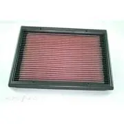 SS Inductions Bigmouth Panel Filter - Holden VT To VZ, PAF002