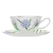 NEW Ashdene Botanical Symphony Agapanthus Cup & Saucer 220ml