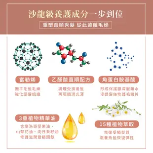 ELENCE 2001 自然捲抗毛燥直順洗髮精 400mL 頭髮毛躁 抗毛躁洗髮精 洗髮精 自然捲 毛躁