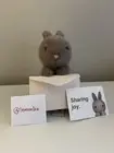 Jellycat Messenger Bunny Rare Stuffed Animal New With Tags
