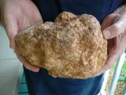 (DF848-1) 8" Fossil REAL DINOSAUR POOP Coprolite Dino Valley Utah DUNG Poo Scat
