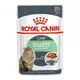 ROYAL CANIN 法國皇家 腸胃保健貓主食濕糧 適用1歲以上成貓 S33W