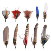 10pcs Hat Feathers 10 Styles Craft Feathers for Hats Peacock Feathers Colorfu...