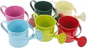 NOLITOY 6pcs Durable Iron Watering Can Long Spout Watering Kettle for Succulents Houseplants Gardening Tool for Horticulture Plant Care