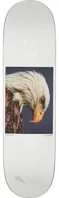 Zero Skateboards Hess Nature Bald Eagle Skateboard Deck - 8.5" x 32.3"