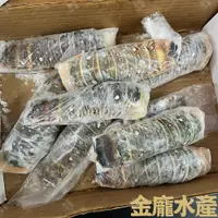 在飛比找蝦皮購物優惠-龍蝦尾200~300g【金龐水產海鮮批發】C111 夜市 烤