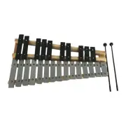 25 Note Glockenspiel Percussion Instrument Motor Skill Wood Hand Percussion