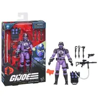 在飛比找蝦皮商城優惠-Hasbro 孩之寶 G.I. Joe 特種部隊 精英系列 