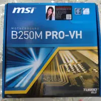 在飛比找蝦皮購物優惠-MSI 微 星 B250M PRO-VH  (全新品)