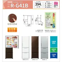 在飛比找蝦皮購物優惠-RG41B 另有RV41C/GW-BF389SA/NR-C3