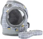 AIMALL Kitten Dog Cat Walking Harness Lead Leash Collar Pet Vest Mesh Adjustable - Breathable, Comfortable Walking Lead Collar, Perfect for Outdoor Use, Available in S and M Sizes