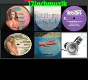 12'' vinyl for pioneer plx 1000 500 reloop 7000 8000 technics 1200 mk2 mk3 mk5