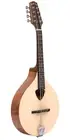 GOLD TONE 8-STRING SOLID SPRUCE MANDOLA w/ BAG ~ VIOLA MANDOLIN LUTE