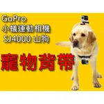 【台灣現貨】【小蟻購 XIAOYI-GO】GOPRO 小蟻運動相機 OSMO ACTION SJ  寵物背帶 寵物肩帶