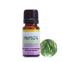 在飛比找PChome24h購物優惠-【草本24。Herb24】檸檬尤加利 純質精油 10ml