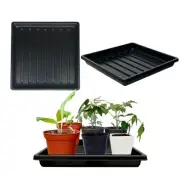 Plant Growing Trays for Seedlings Microgreen Seed Starter Shallow Plants Tray...